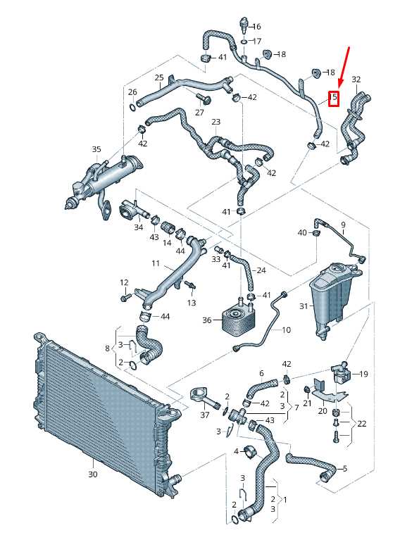 vag parts diagram