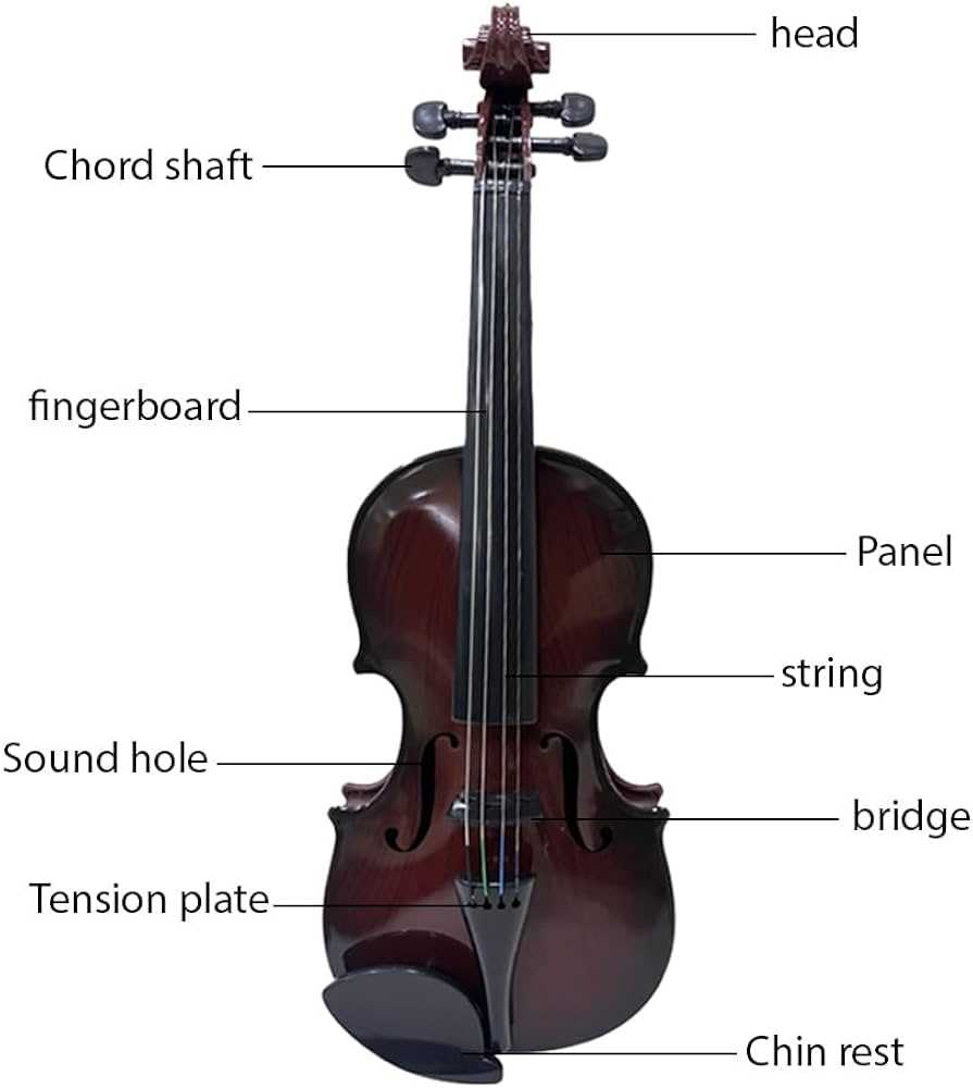 violin parts diagram