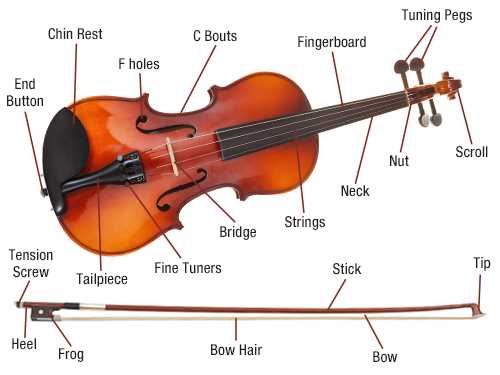 violin parts diagram