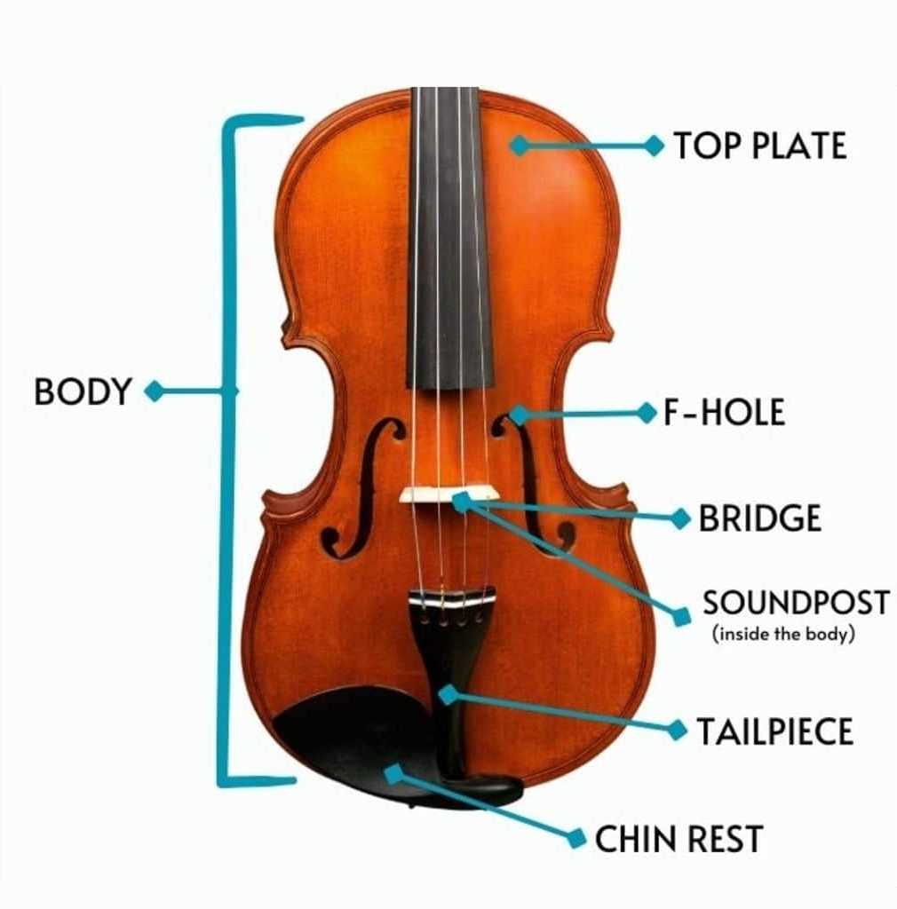 violin parts diagram