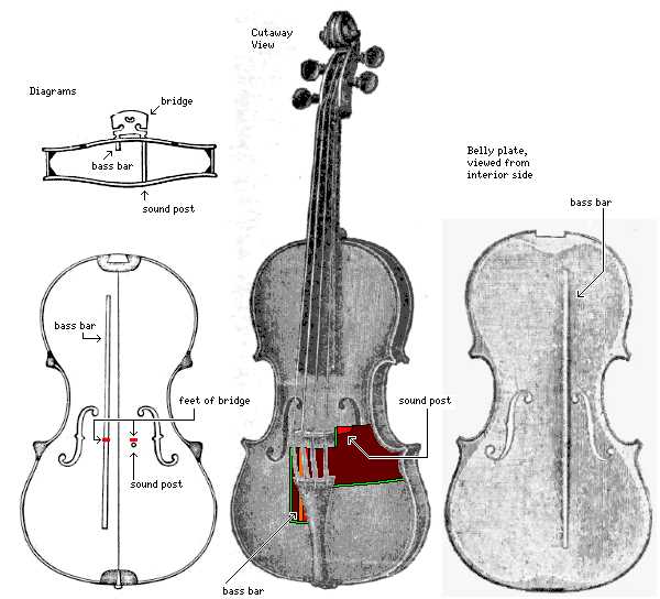 violin parts diagram