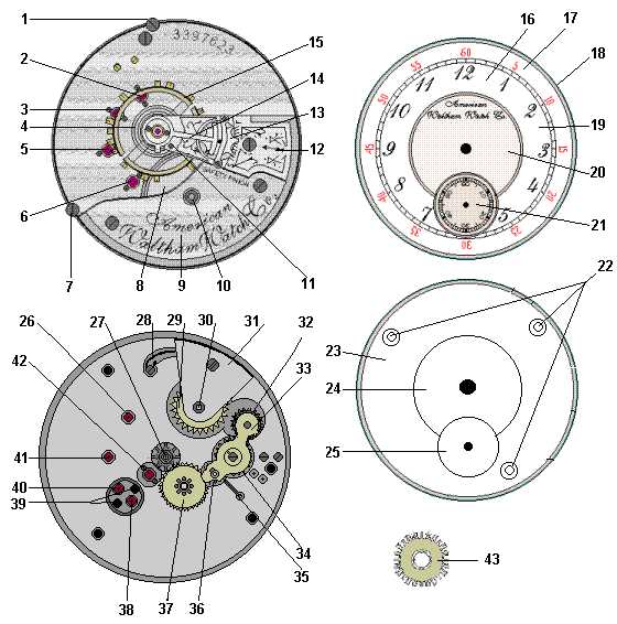 watch parts diagram