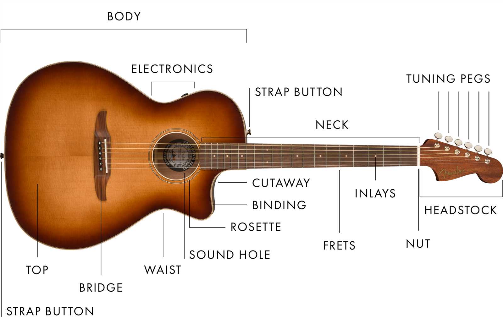 parts of the acoustic guitar diagram