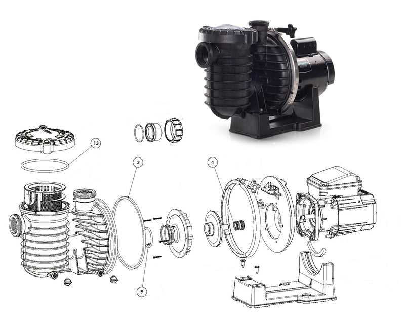 sta rite pool pump parts diagram