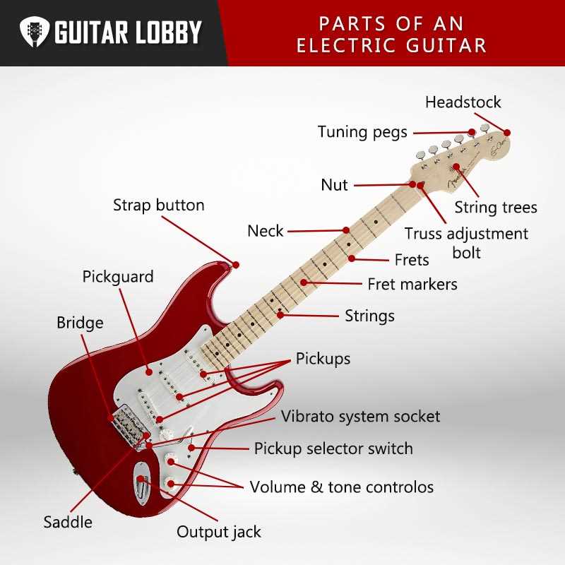 stratocaster parts diagram