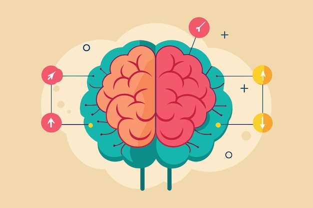 parts of the brain simple diagram