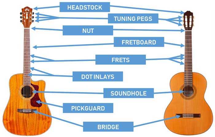 stratocaster parts diagram