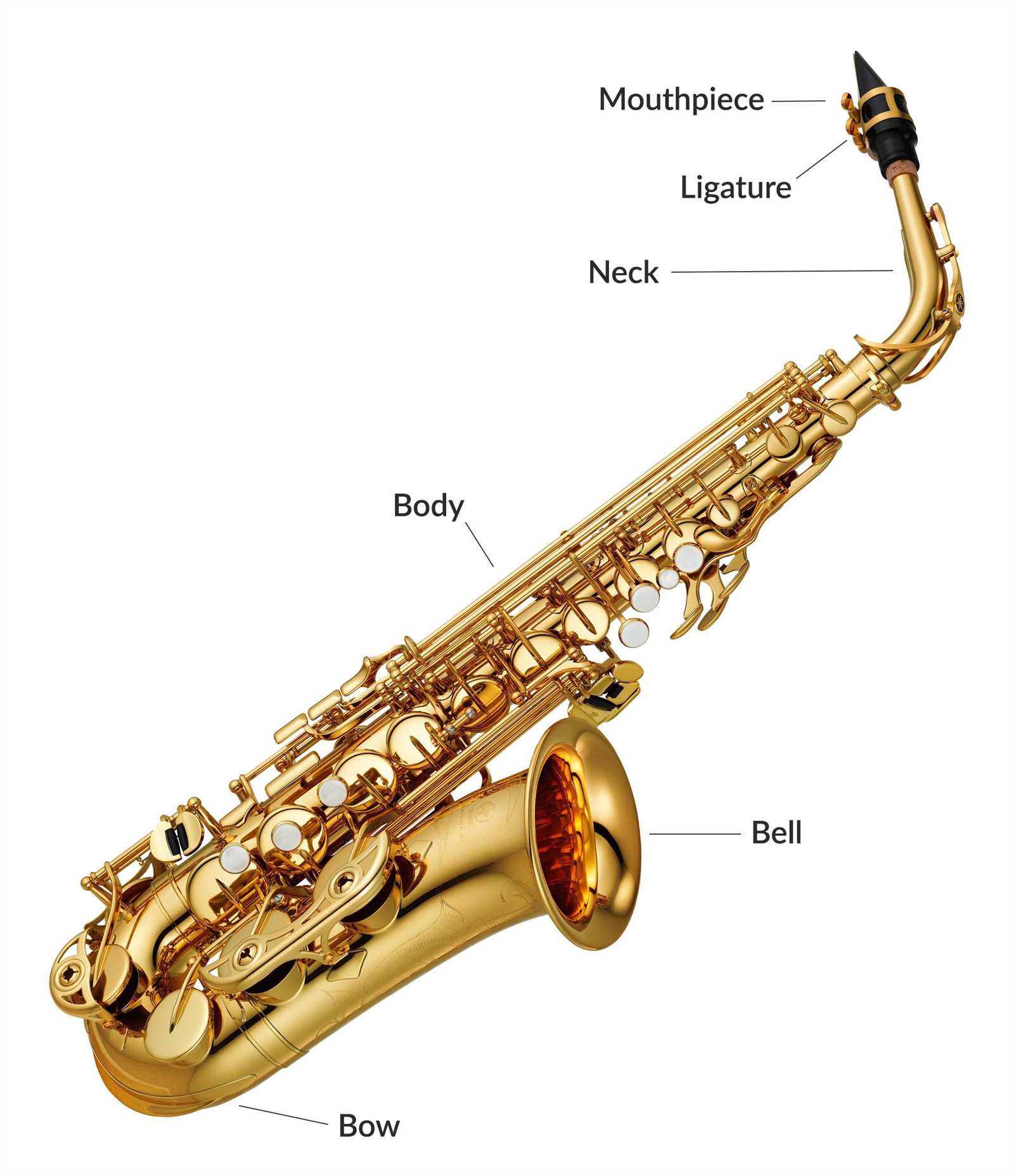 saxophone parts diagram