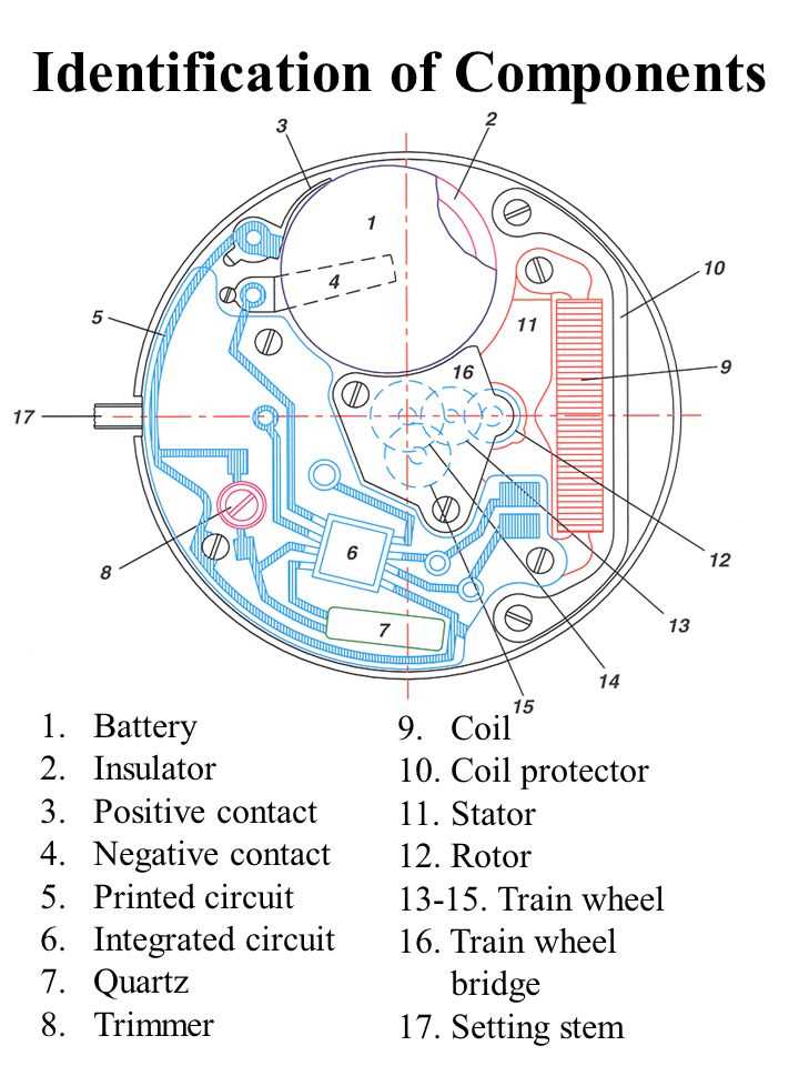 quartz watch parts diagram