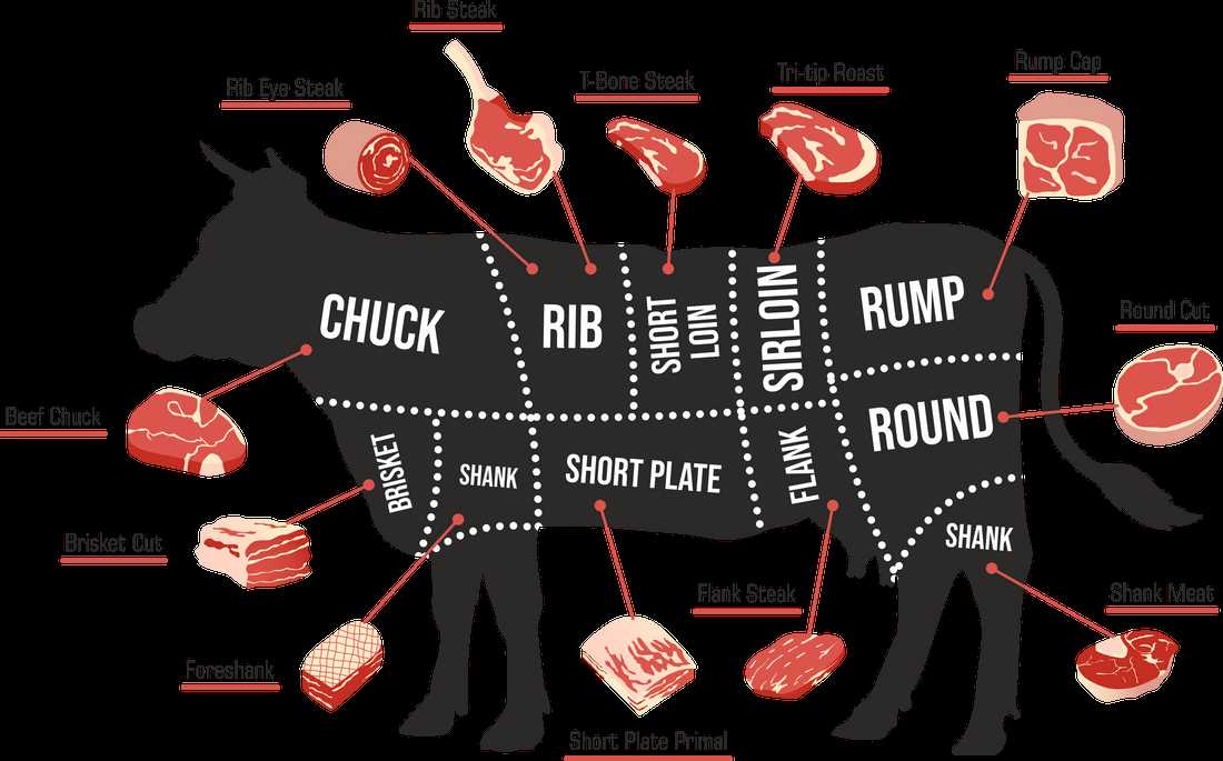 parts of beef diagram