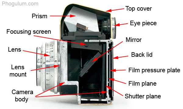 slr camera diagram with parts and functions