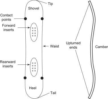 snowboard parts diagram