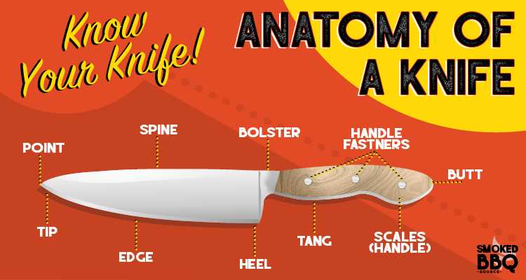 parts of knife diagram