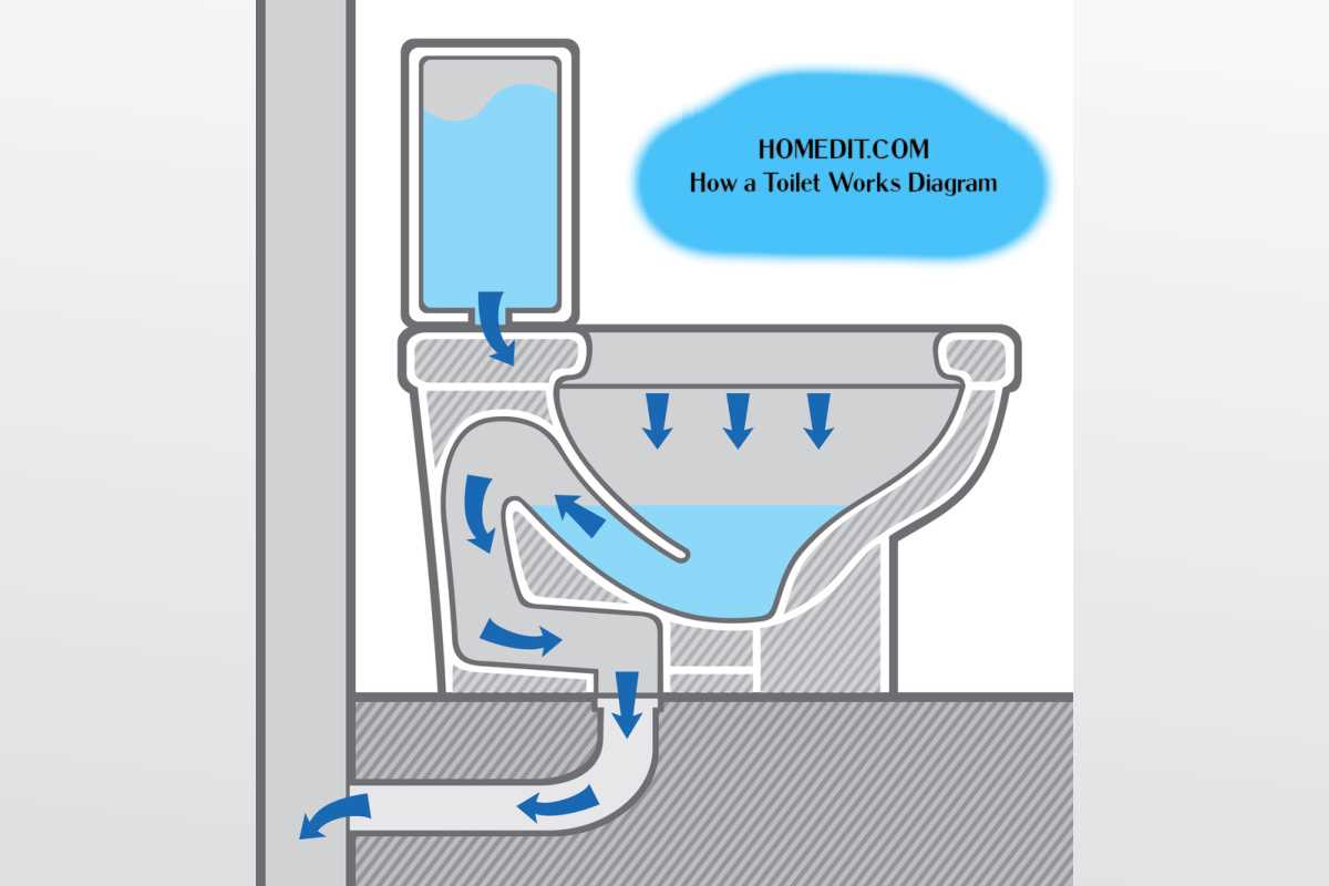 toilet drain parts diagram