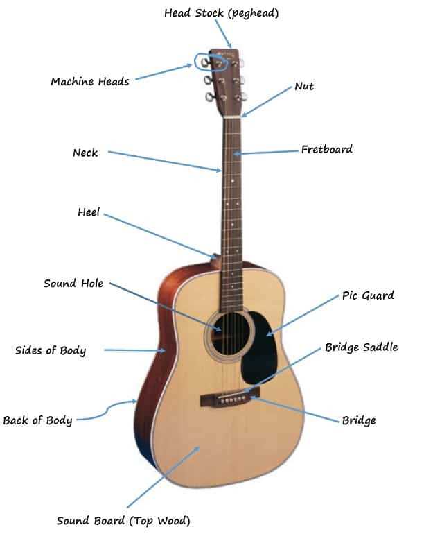 parts of the acoustic guitar diagram