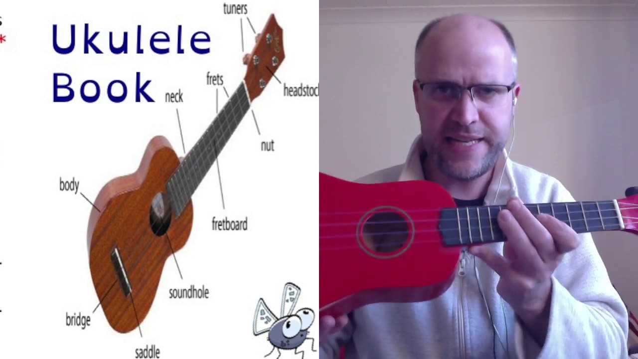 parts of the ukulele diagram