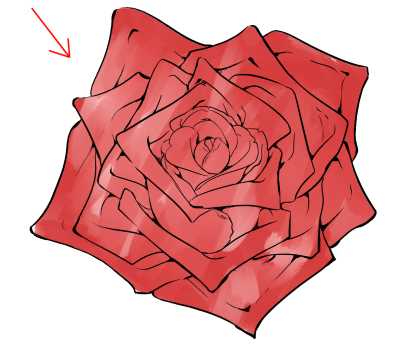 parts of rose flower diagram