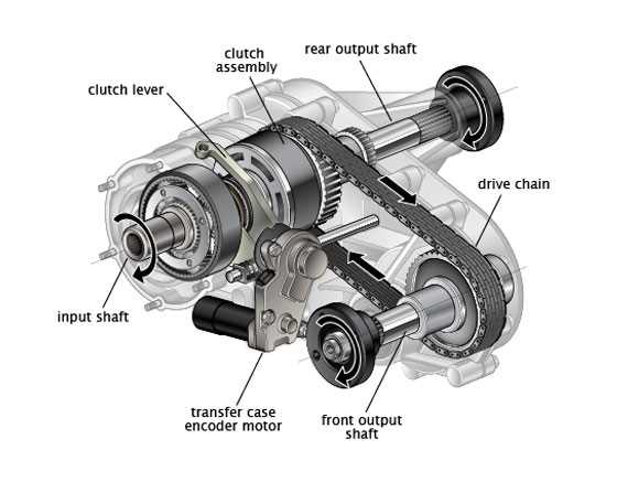 schematic np246 transfer case parts diagram