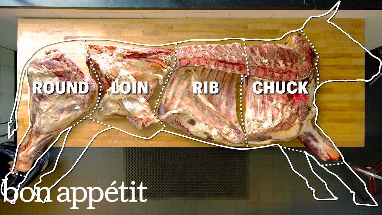 parts of cow diagram