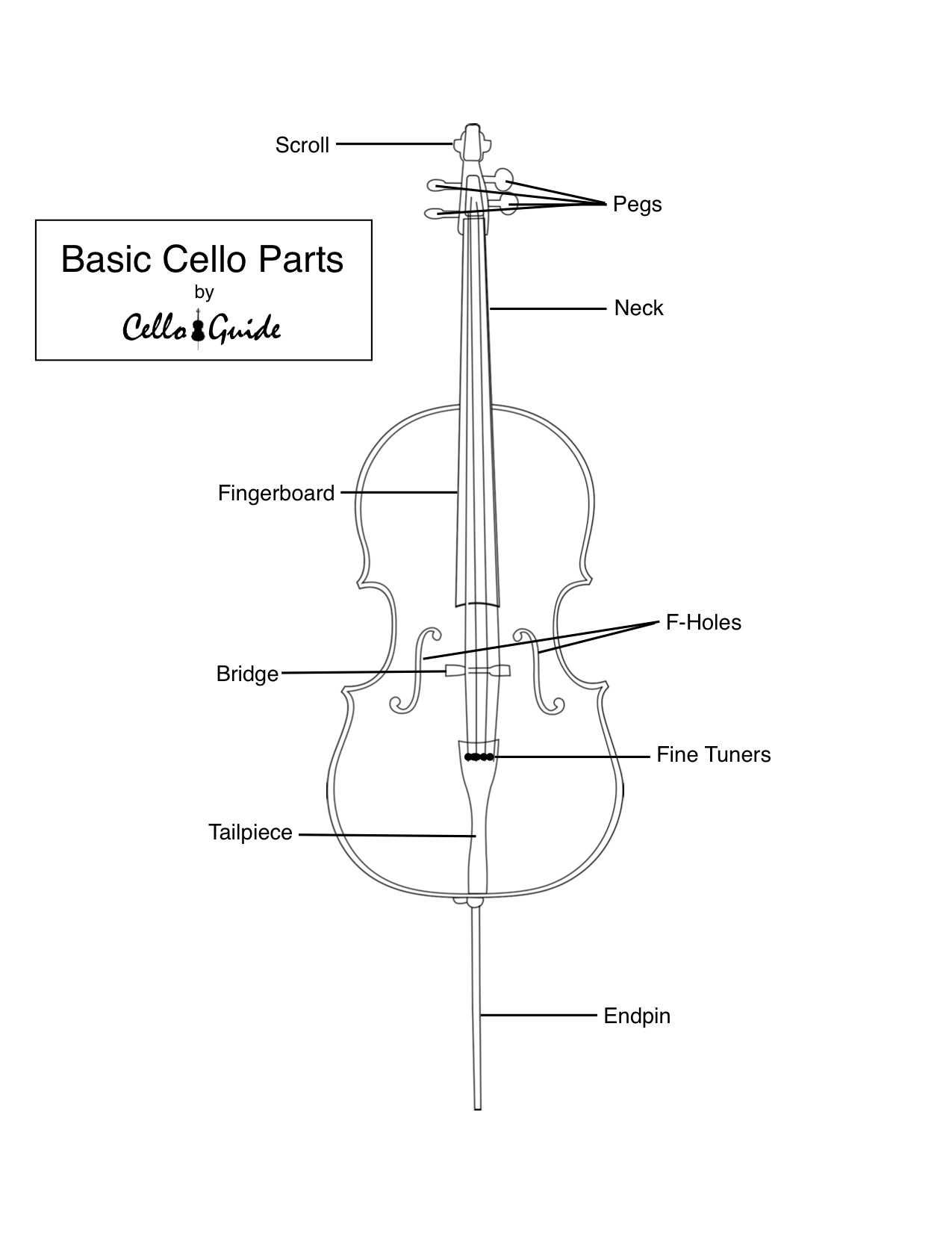 parts of the cello diagram