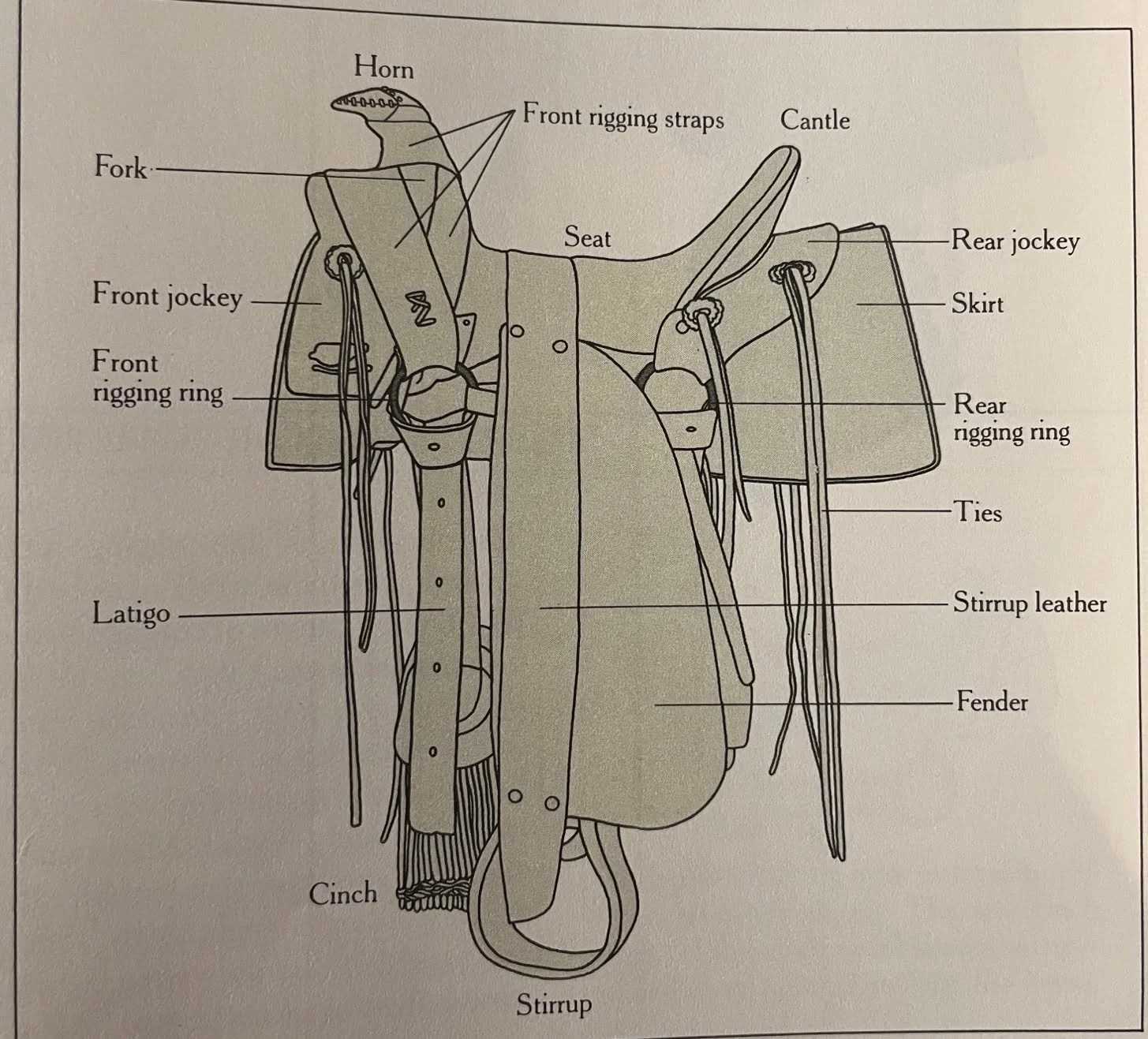 western saddle parts diagram