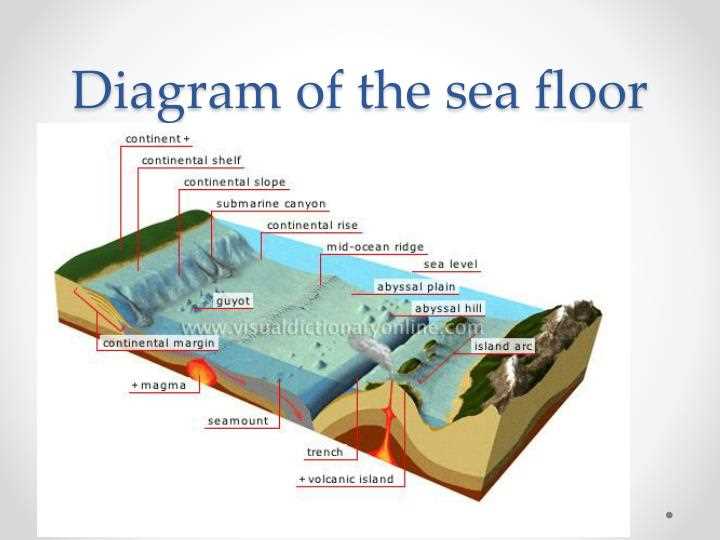 parts of the ocean floor diagram