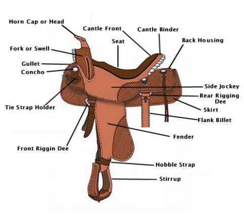 western saddle parts diagram