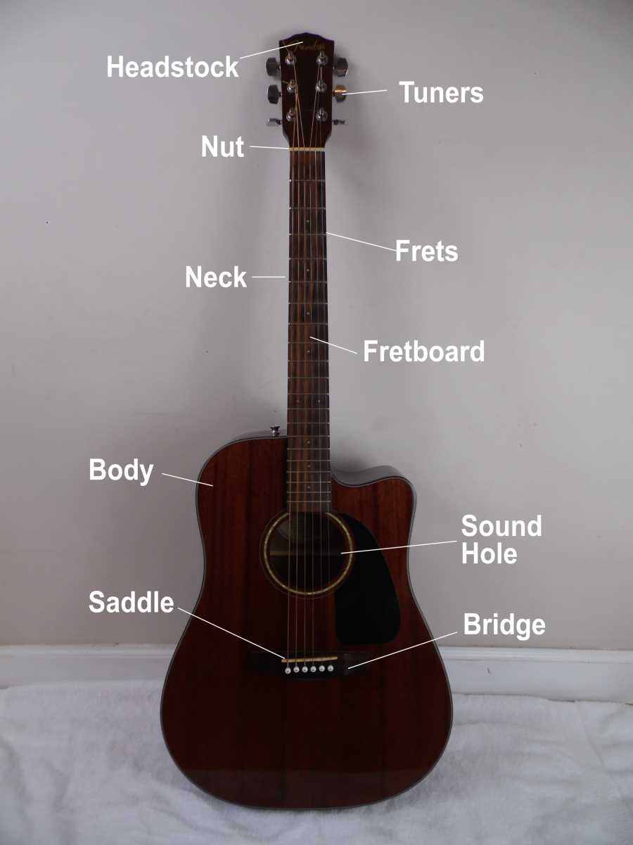 parts of the acoustic guitar diagram