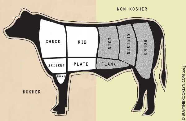 parts of beef diagram