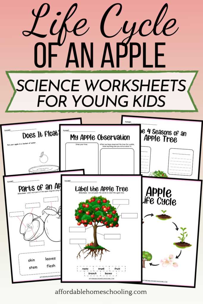 parts of an apple tree diagram