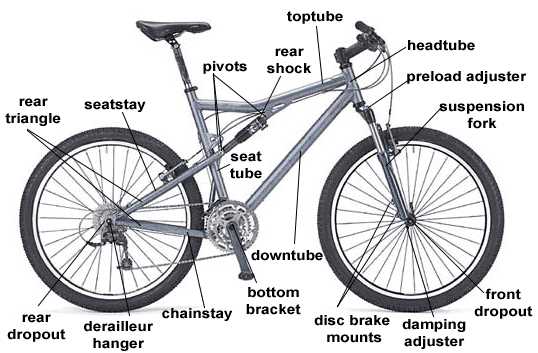 snowshoe parts diagram