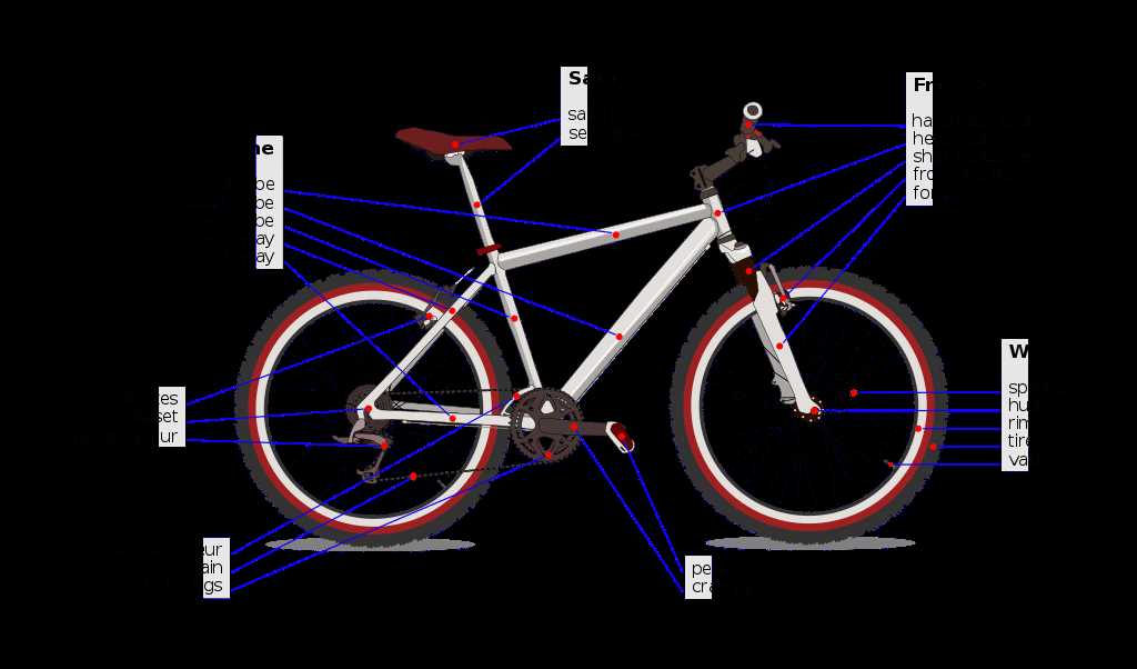 rear derailleur parts diagram