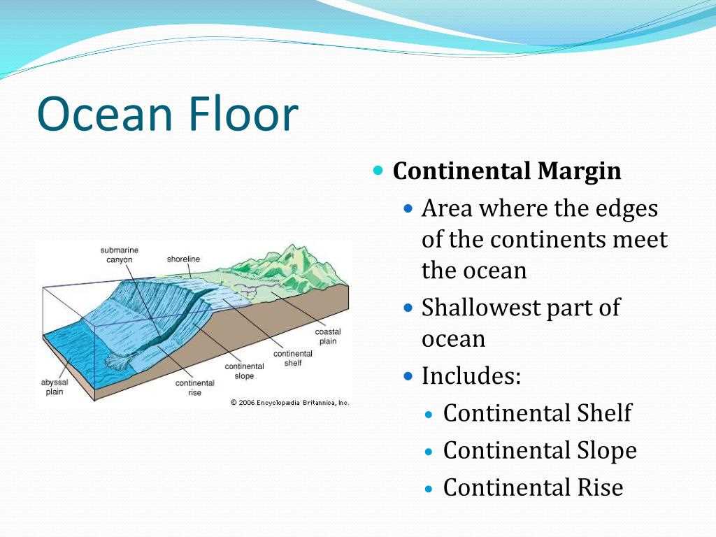 parts of the ocean floor diagram