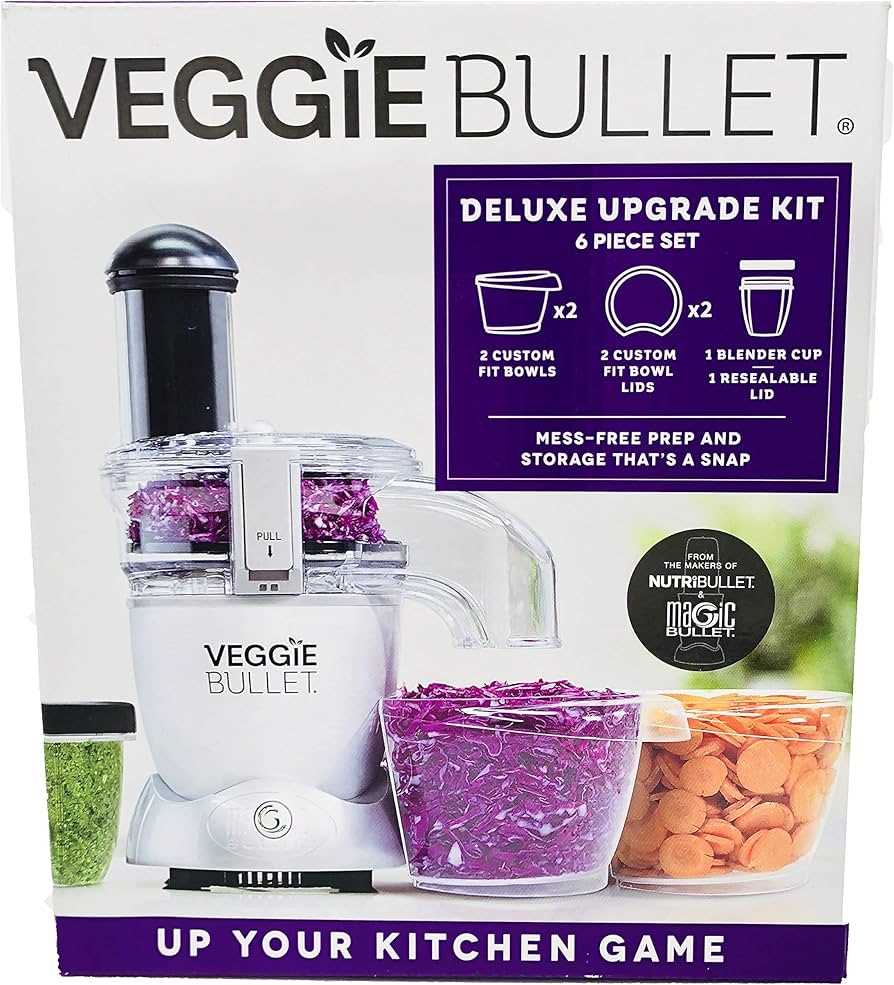 veggie bullet parts diagram