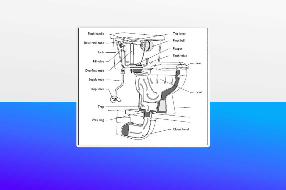 toilet drain parts diagram