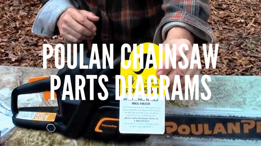 chainsaw part diagram