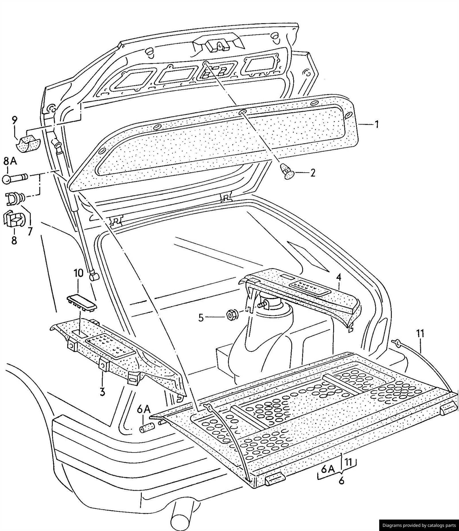 vag parts diagram