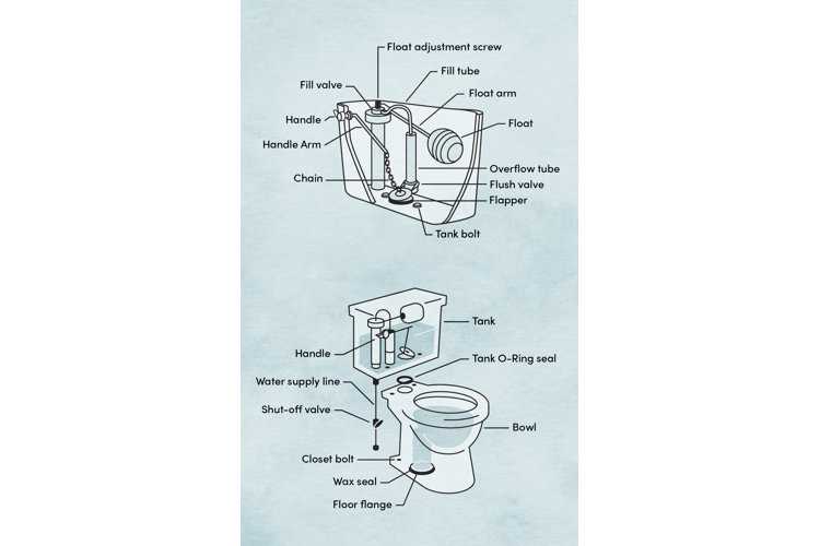 parts of a toilet diagram