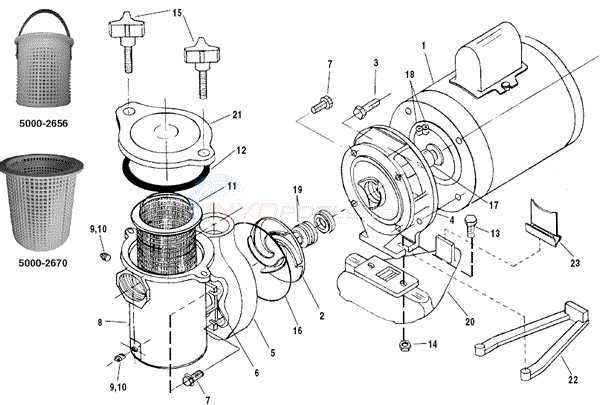 pool pump parts diagram