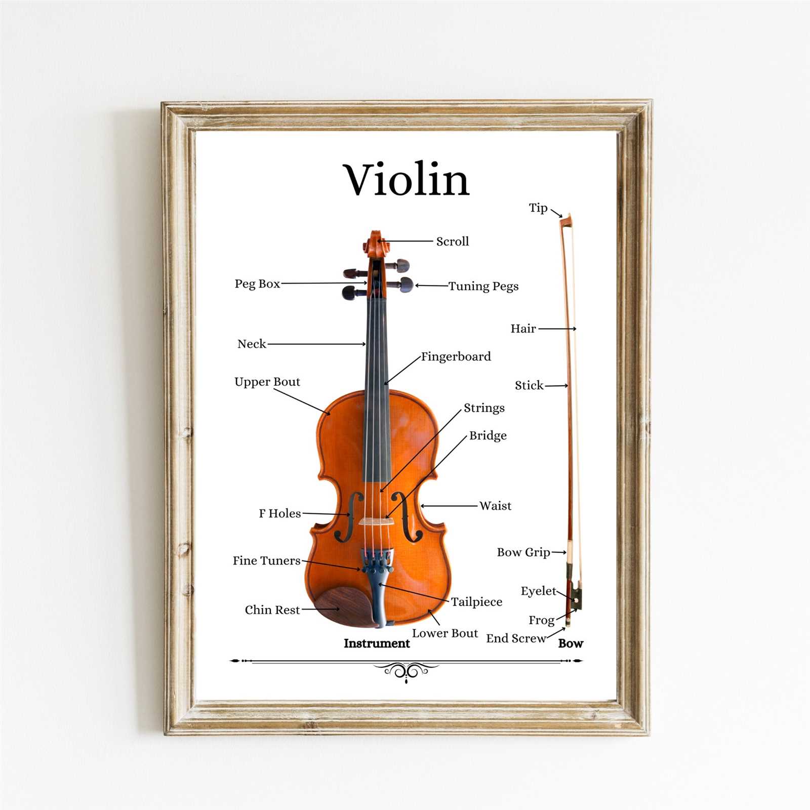 violin parts diagram