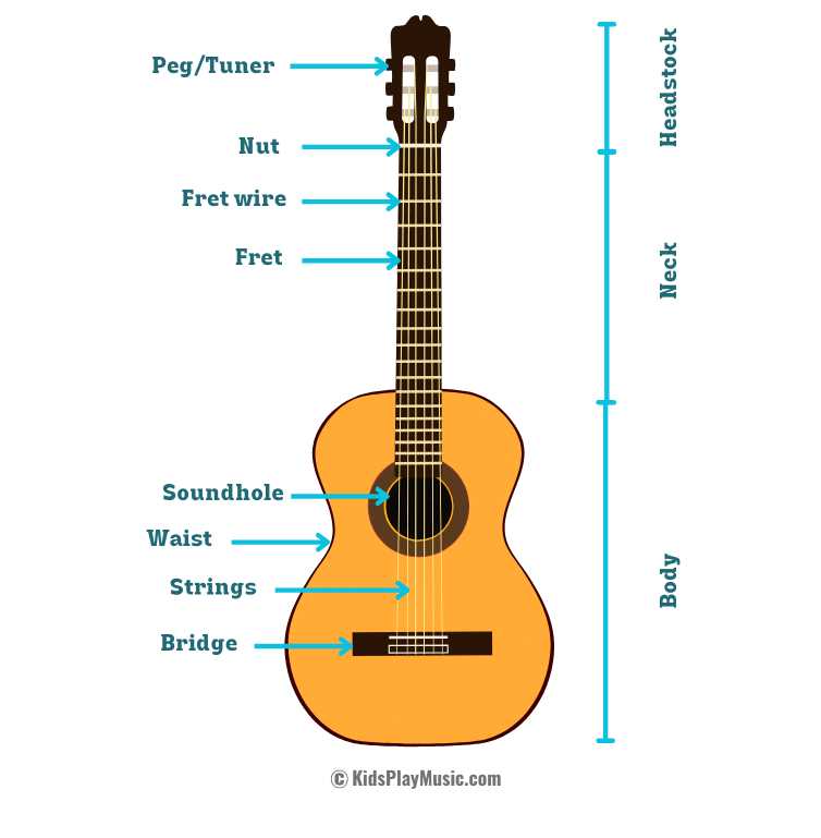 parts of the ukulele diagram