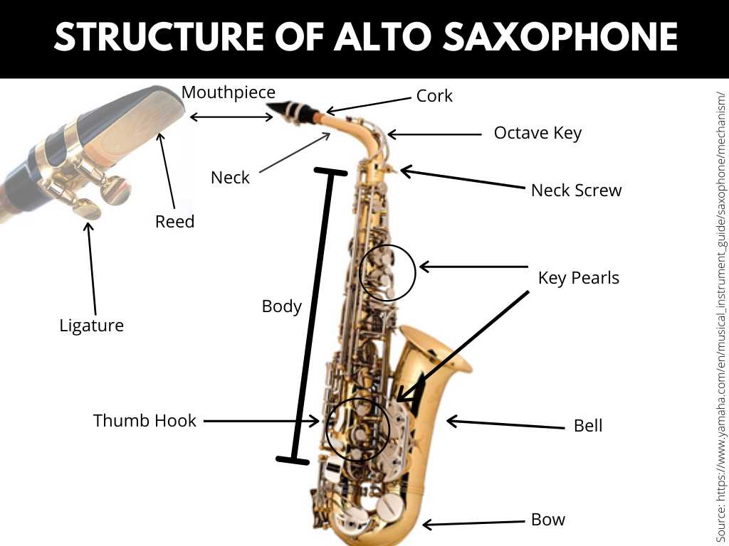 saxophone parts diagram