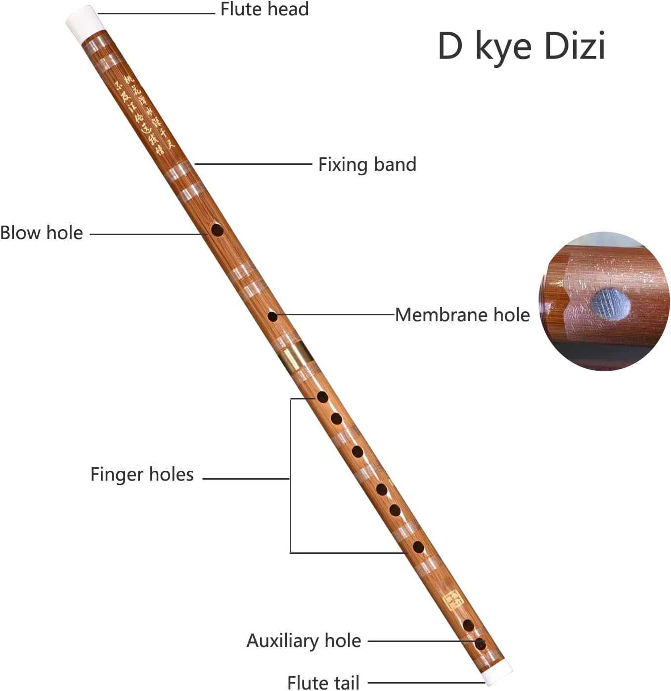 parts of the flute diagram