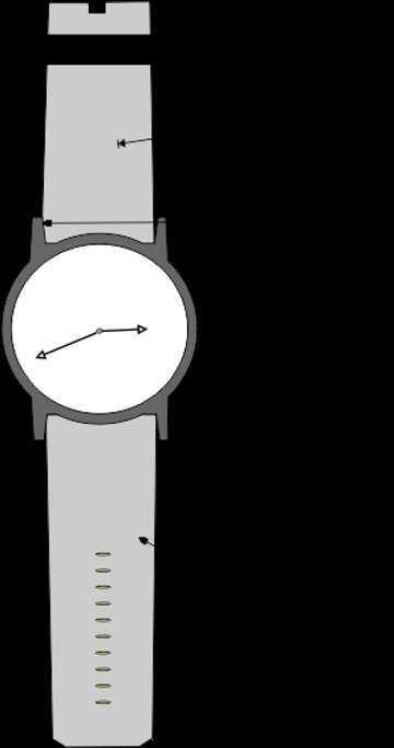 watch band parts diagram