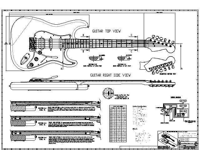 stratocaster parts diagram