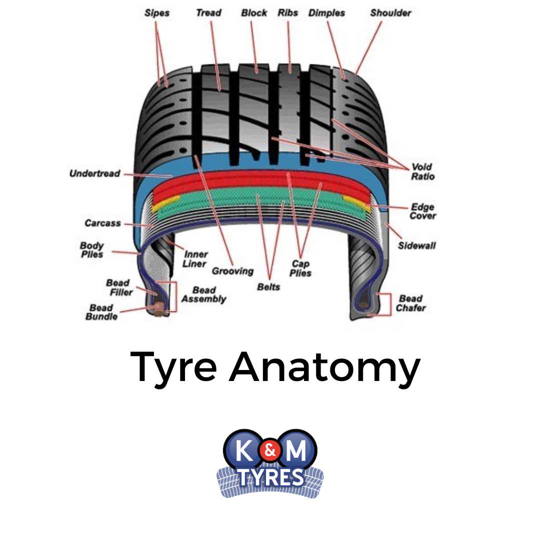 parts of a tire diagram