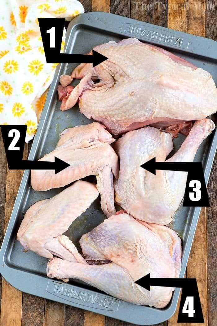 turkey body parts diagram