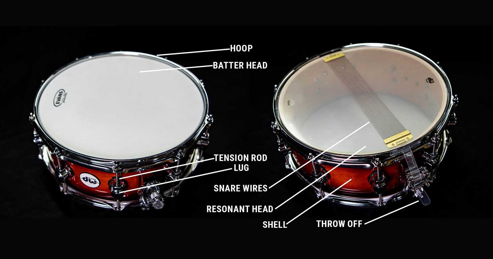 snare drum parts diagram