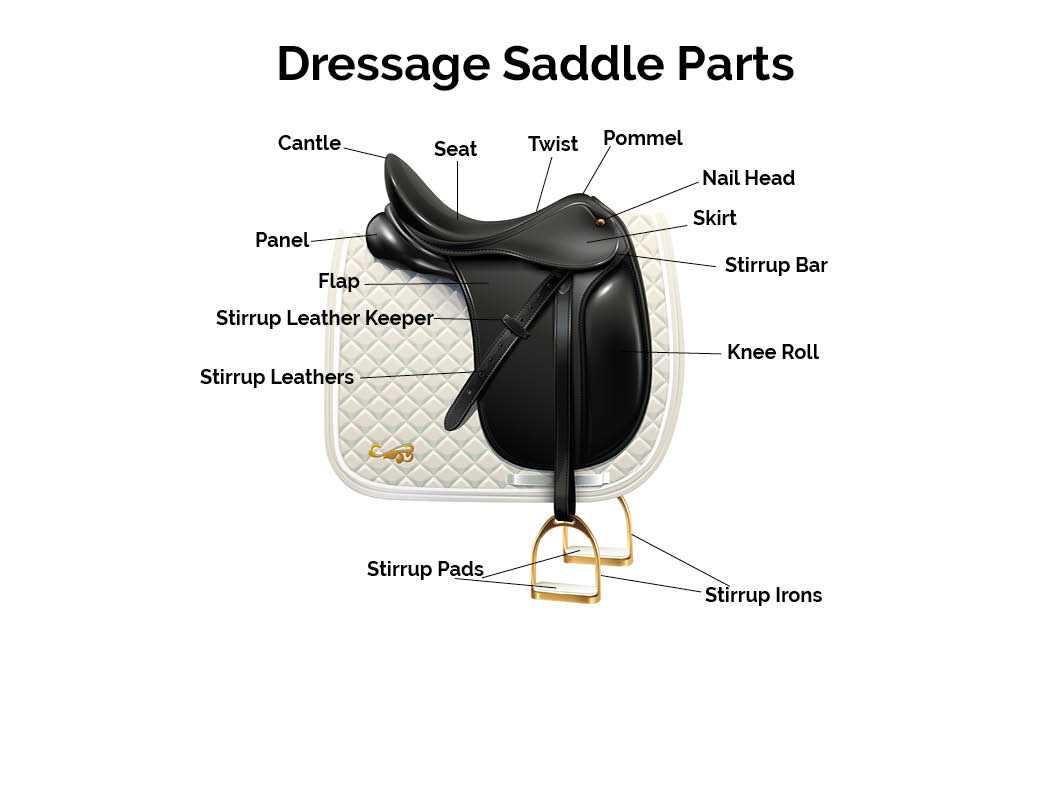 saddle parts diagram