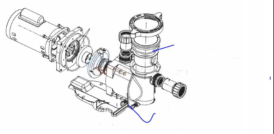 sta rite pool pump parts diagram